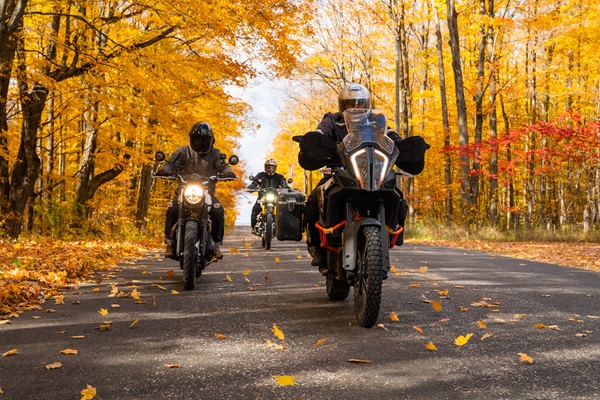 Group of motorcyclists riding down a scenic road lined with autumn trees full of orange and yellow leaves.